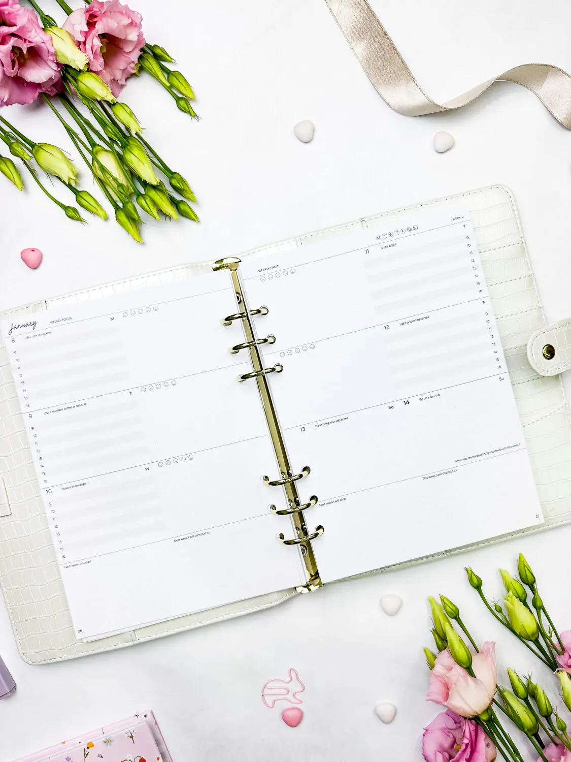 Pagine interne del Piano Calendario Felice 25/26 - immagine 4